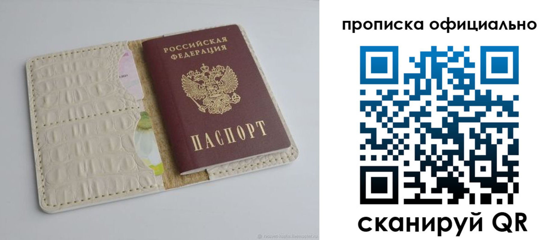 временная регистрация для школы в Щёлково